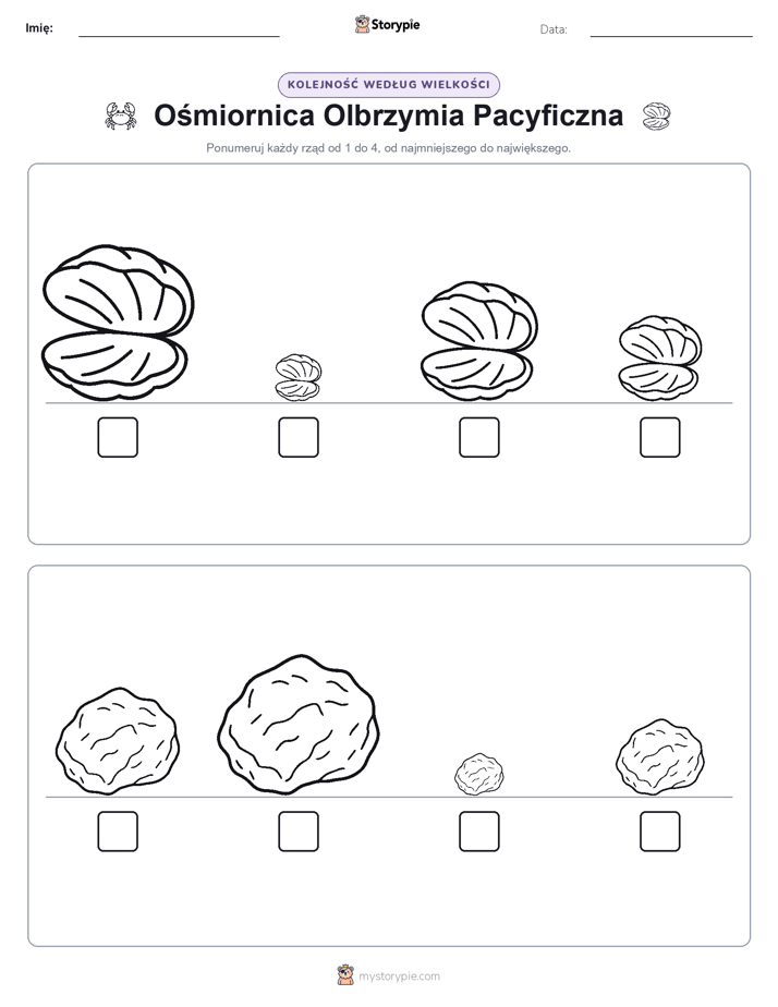 Porządek rozmiarów