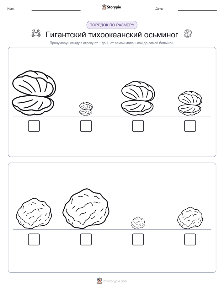 Размеры в порядке