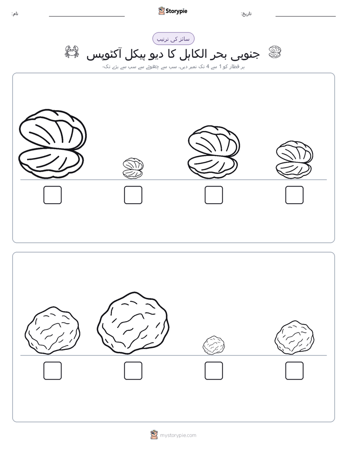 سائز کی ترتیب