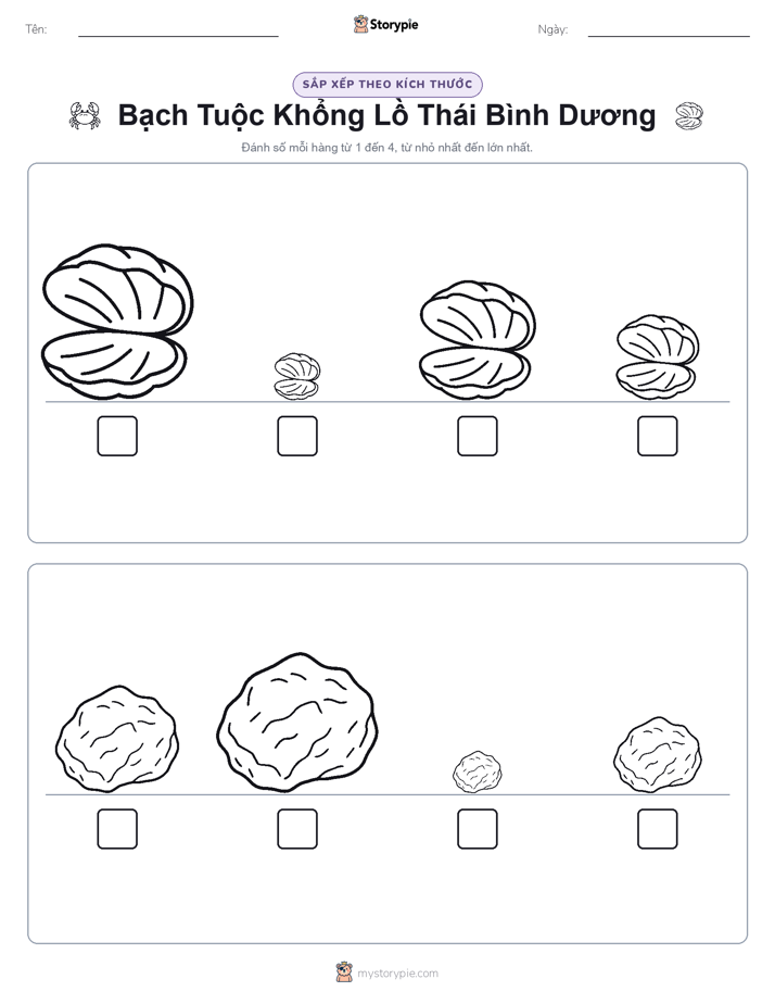 Thứ Tự Kích Thước