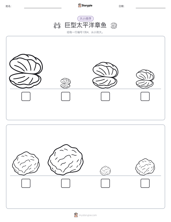 大小排序