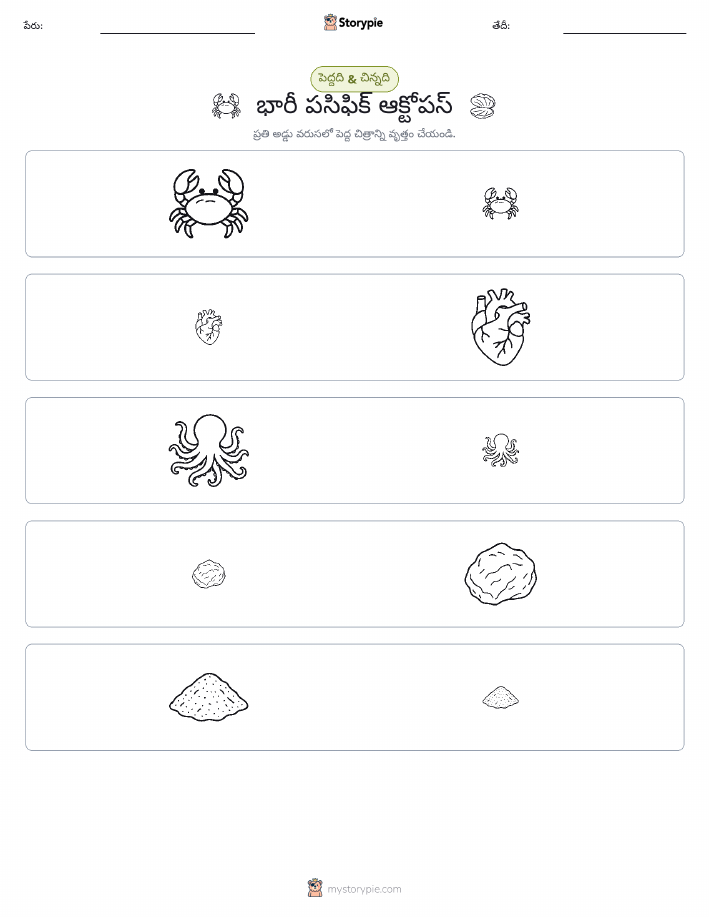 వర్గీకరణ