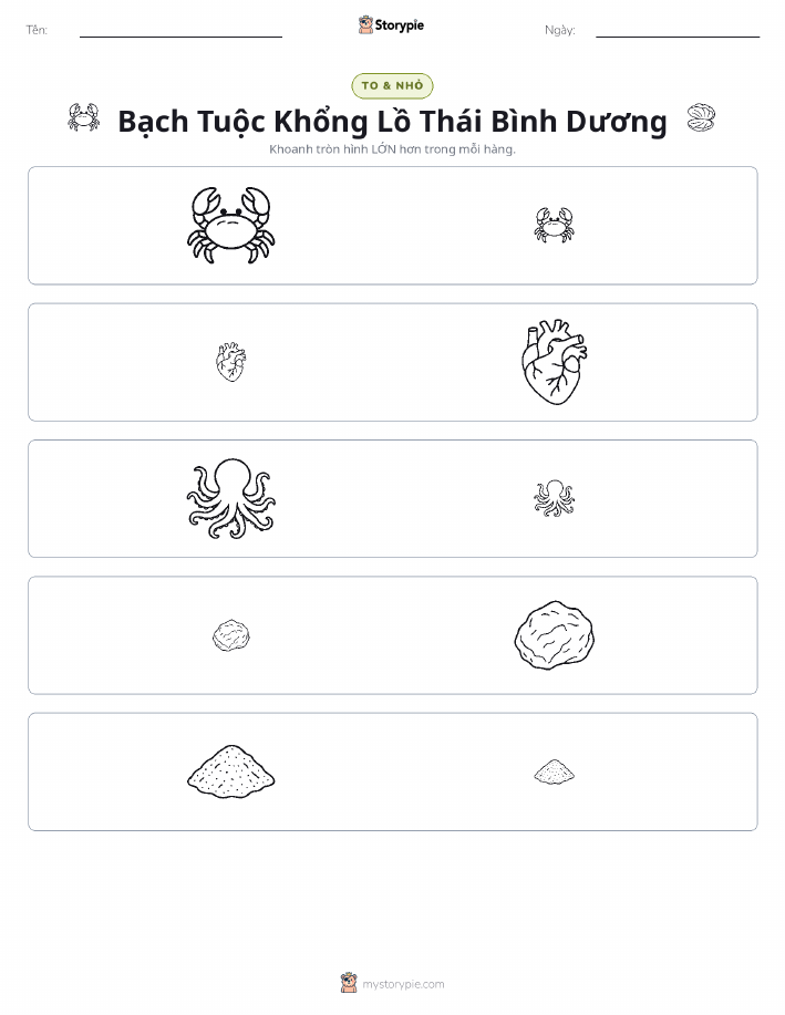 Phân Loại