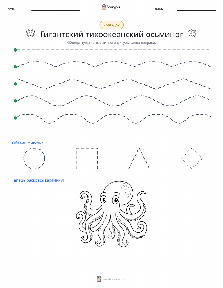 Обводка
