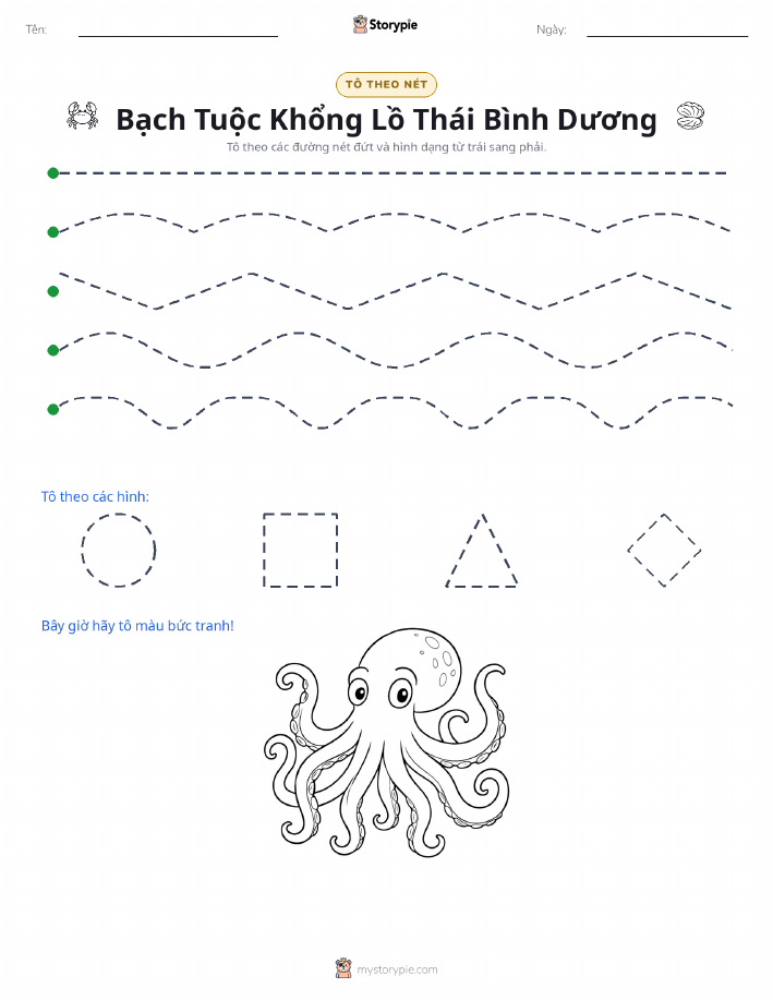 Vẽ Theo Đường