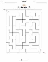 Narwhal printable worksheet preview