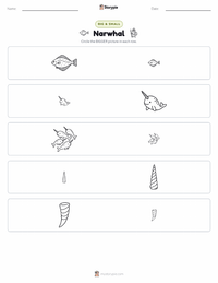Narwhal printable worksheet preview