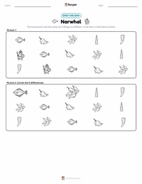 Narwhal printable worksheet preview