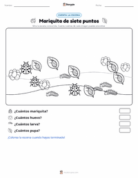 Vista previa de la hoja de trabajo imprimible de Mariquita de siete puntos (Vaquita de San Antonio)