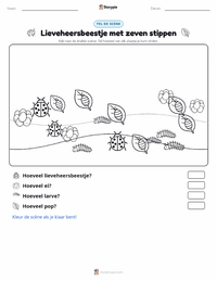 Zevenstippelig Lieveheersbeestje afdrukbare werkblad voorbeeld