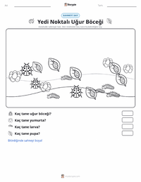 Yedi Benekli Uğur Böceği yazdırılabilir çalışma sayfası önizlemesi
