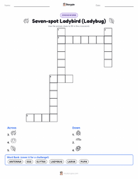Seven-spot Ladybird (Ladybug) printable worksheet preview