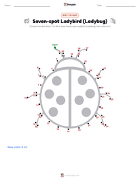 Seven-spot Ladybird (Ladybug) printable worksheet preview