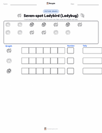 Seven-spot Ladybird (Ladybug) printable worksheet preview