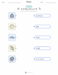ナナホシテントウ（テントウムシ） の子供向け印刷可能ワークシート