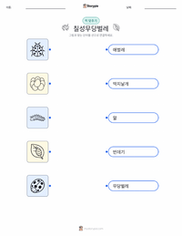 칠성무당벌레 어린이용 인쇄 가능한 워크시트