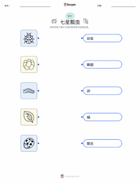七星瓢虫 可打印工作表，适合儿童