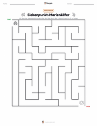 Siebenpunkt-Marienkäfer druckbare Arbeitsblatt Vorschau