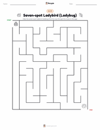 Seven-spot Ladybird (Ladybug) printable worksheet preview