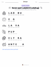 Seven-spot Ladybird (Ladybug) printable worksheet preview