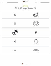 معاينة ورقة العمل القابلة للطباعة الدعسوقة ذات السبع نقاط (خنفساء السيدة)