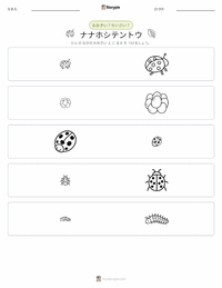ナナホシテントウ（テントウムシ） の印刷可能ワークシートプレビュー
