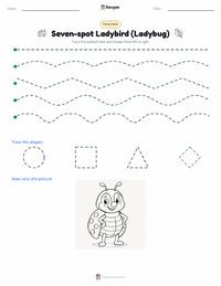 Seven-spot Ladybird (Ladybug) printable worksheet preview
