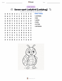 Seven-spot Ladybird (Ladybug) printable worksheet preview