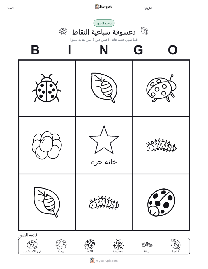 بينغو الصور