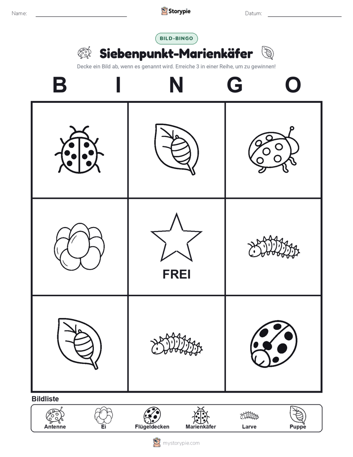 Bild-Bingo