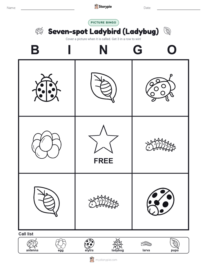Picture Bingo