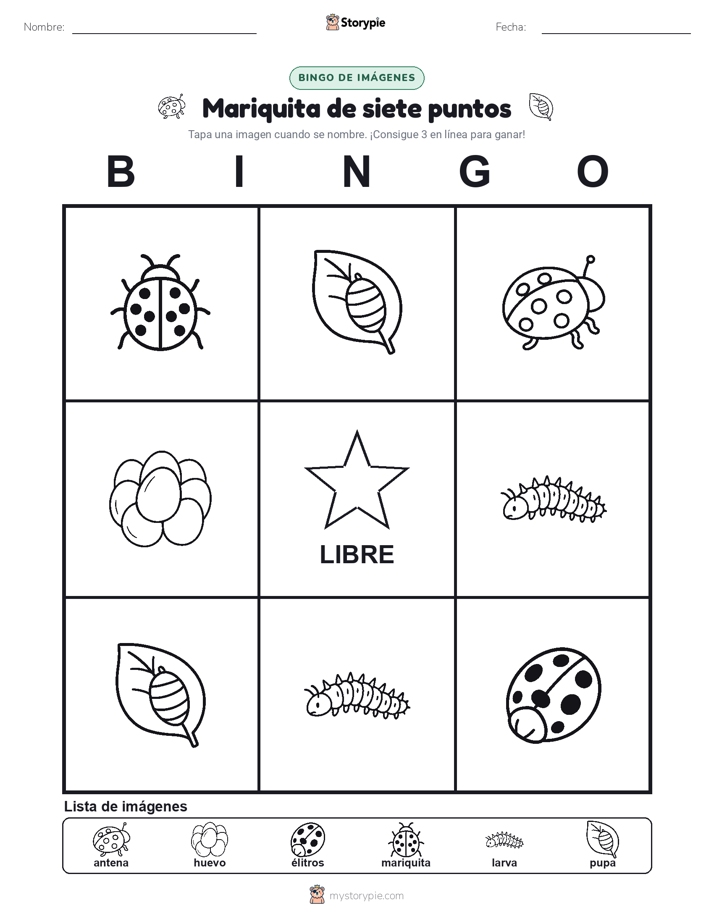 Bingo de Imágenes