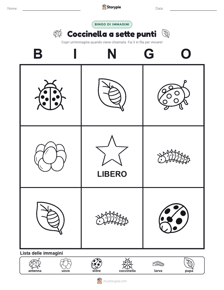 Bingo delle Immagini
