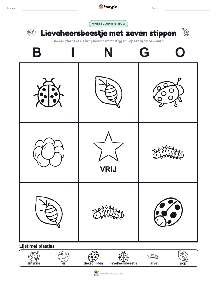 Afbeelding Bingo