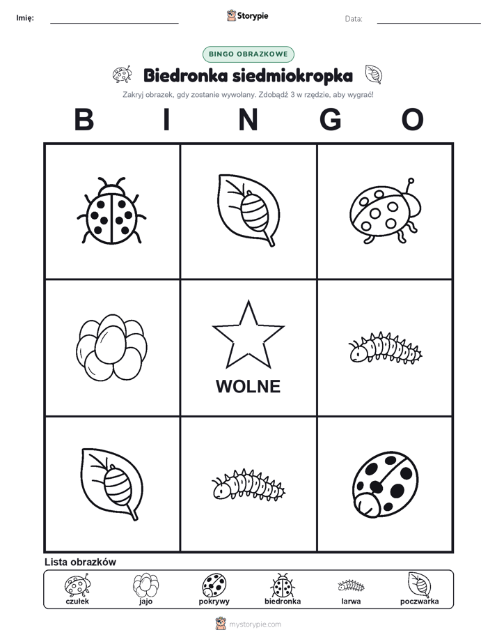 Bingo obrazkowe