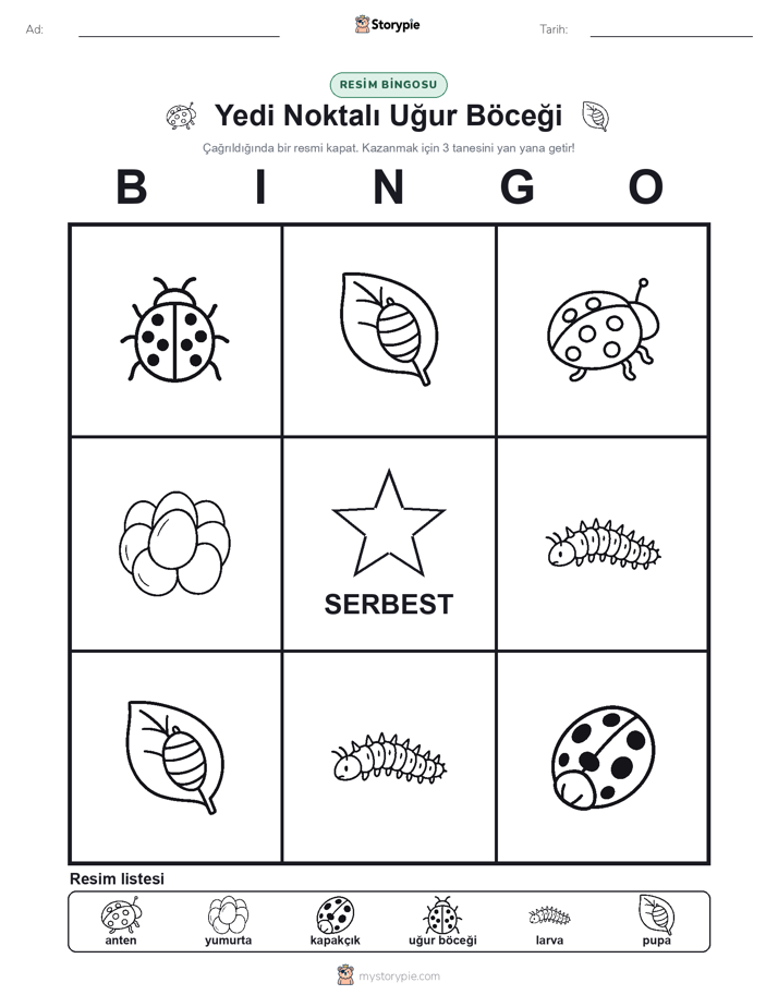 Resim Bingo