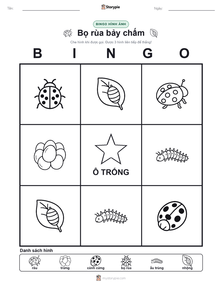 Bingo Hình Ảnh