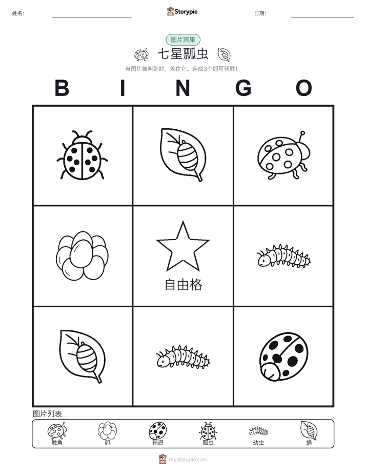 图片宾果