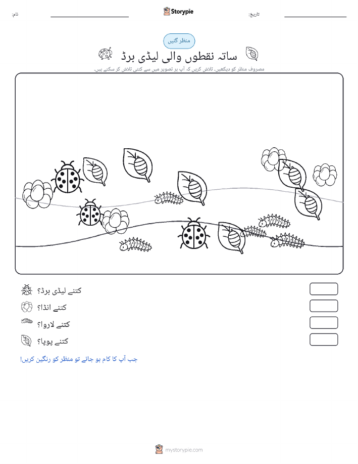 گنتی کا منظر