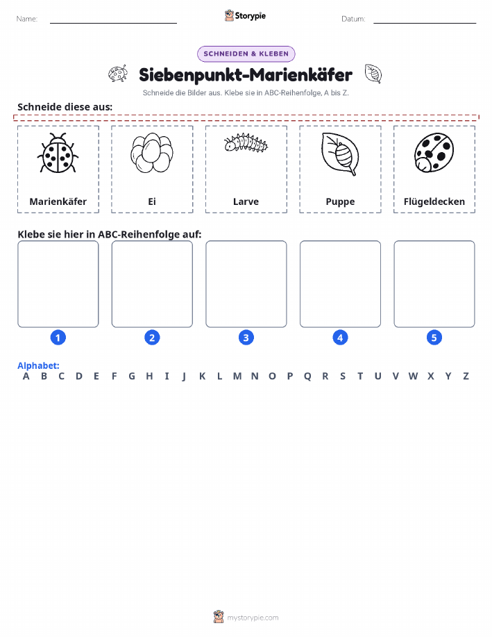 Schneiden & Einfügen Alphabet