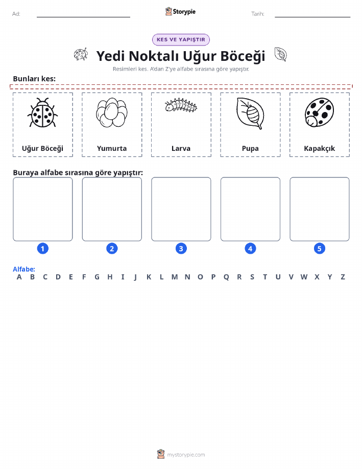 Kes & Yapıştır Alfabe