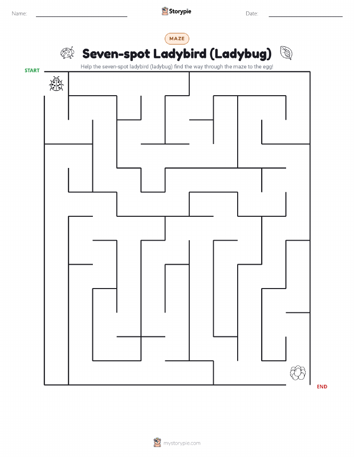 Maze