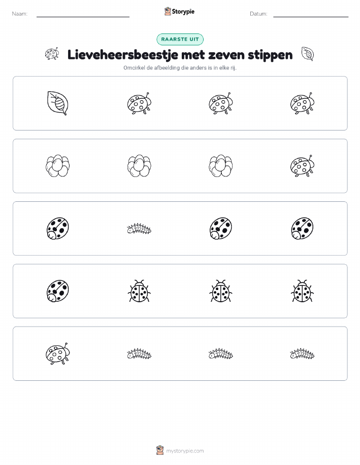 Vreemde Tussenuit