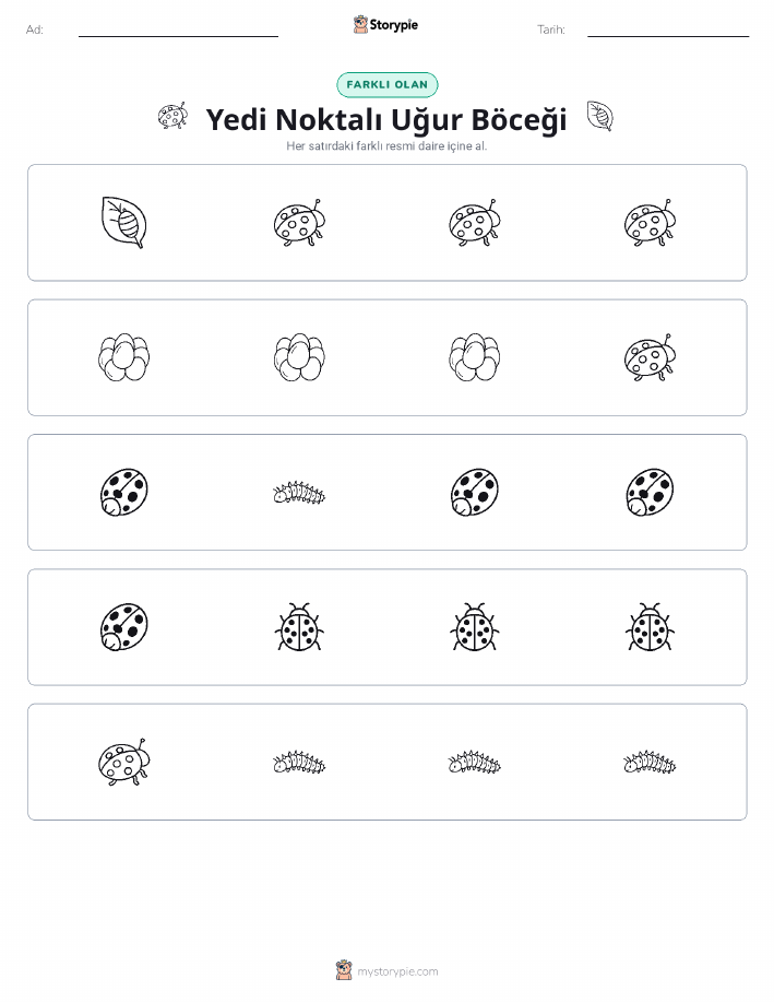 Farklı Olanı Bul