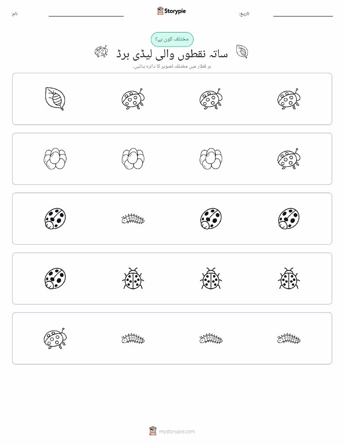 عجیب ایک