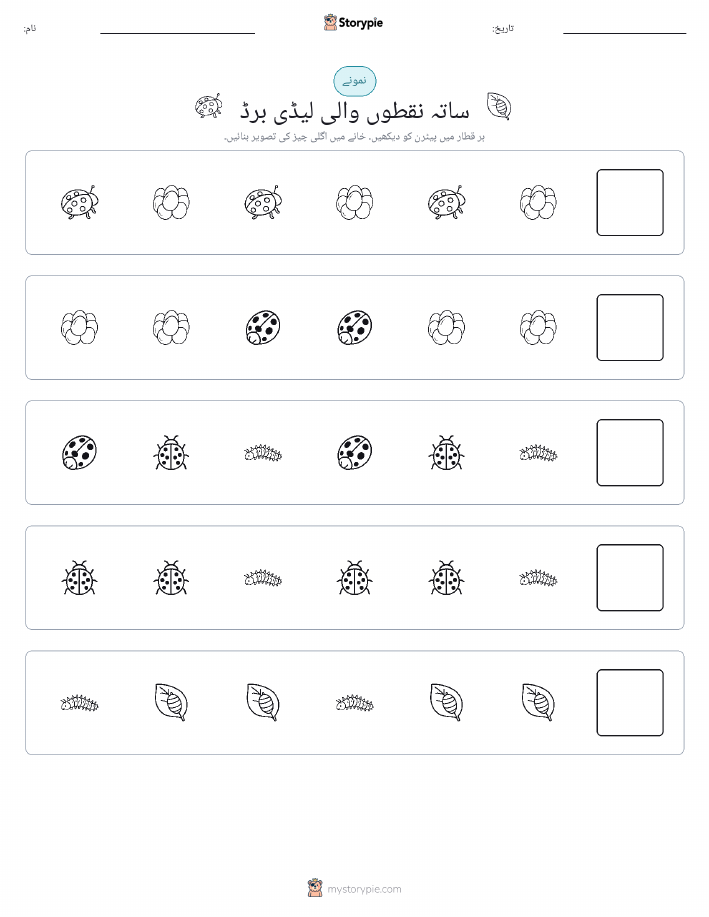 پیٹرن