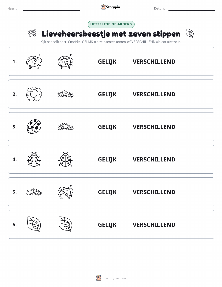 Zelfde of Verschillend