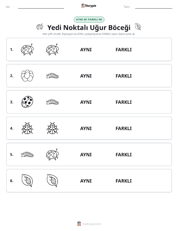 Aynı mı Farklı mı