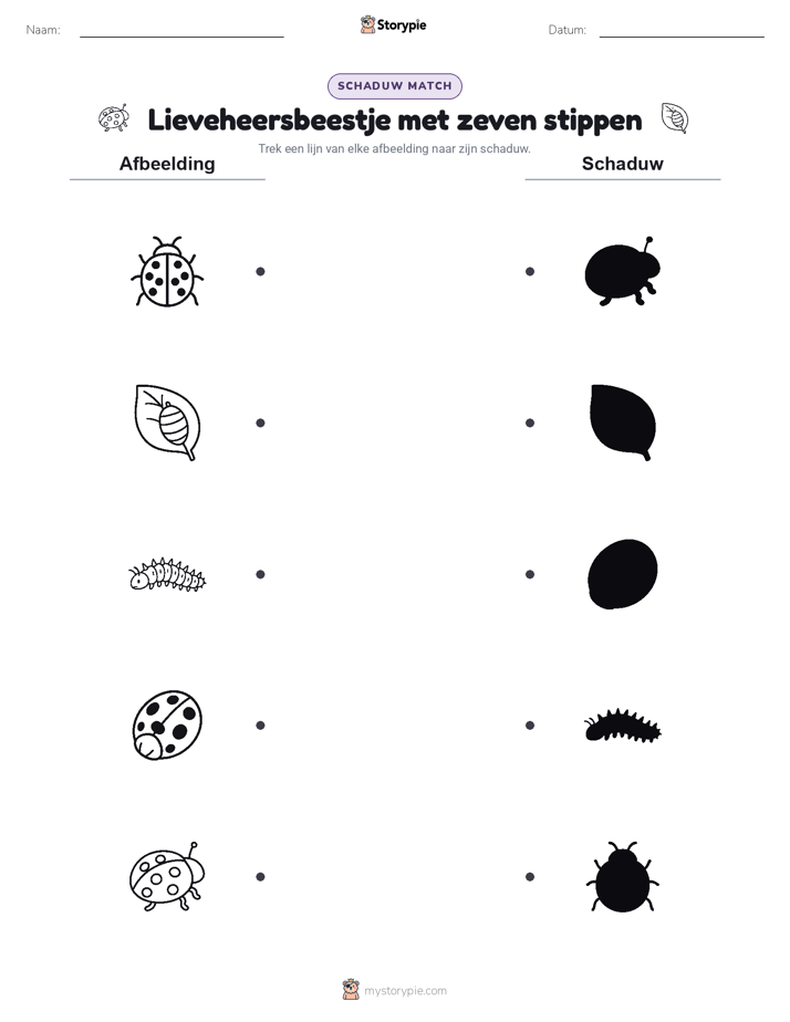 Schaduw Match
