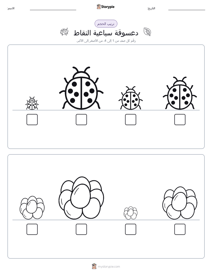 ترتيب الحجم